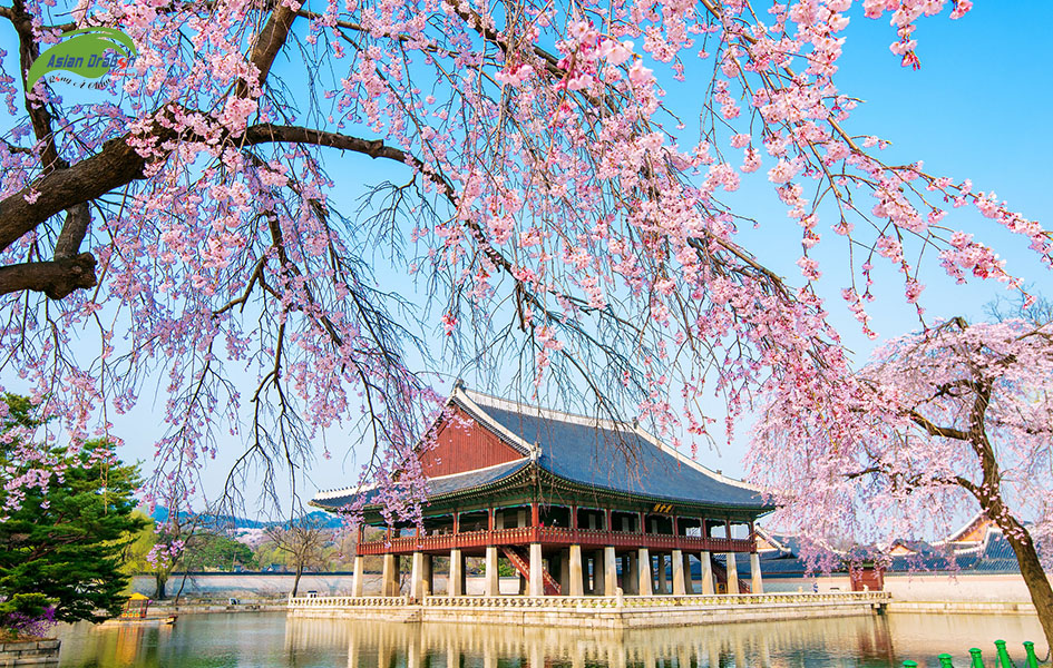 Cung điện Cảnh Phúc Cung (Gyeongbokgung)